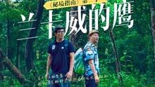 逃出熊蜂森林