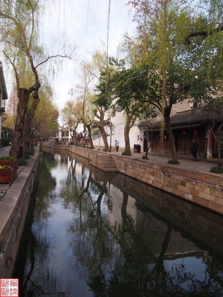 动物帮帮忙保卫家园